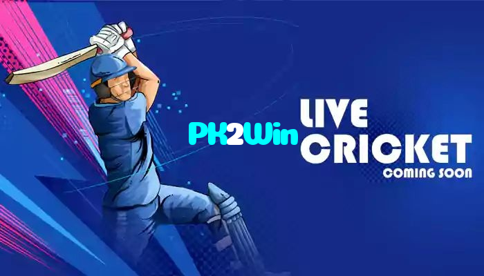 available types of PK2Win bet including pre-match live express and system bets